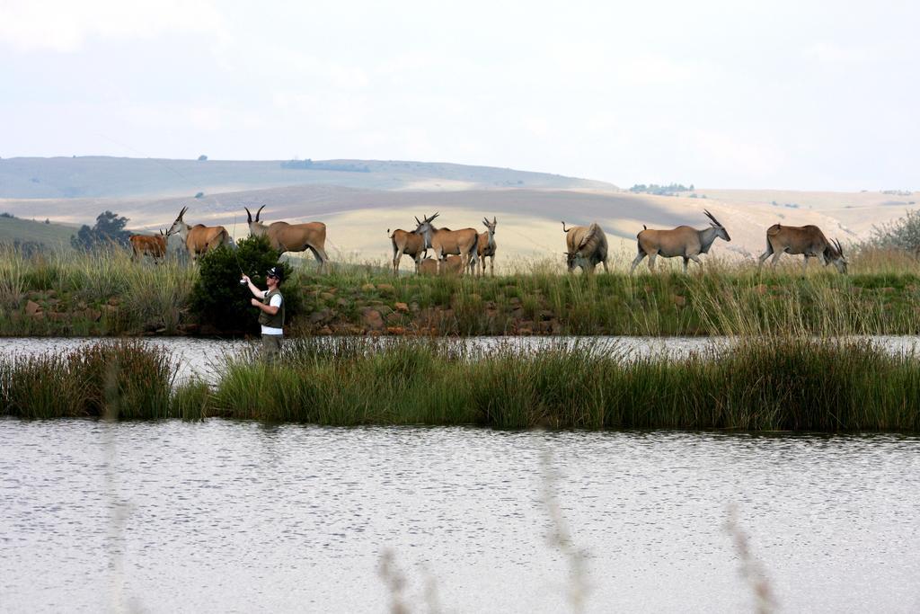 Elandskloof Trout Farm ξενώνας Dullstroom Εξωτερικό φωτογραφία